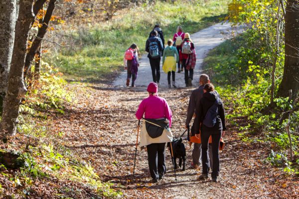Autumn Hiking Trails