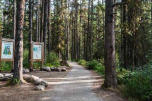 10 Beginner-Friendly Hiking Trails in America’s National Parks