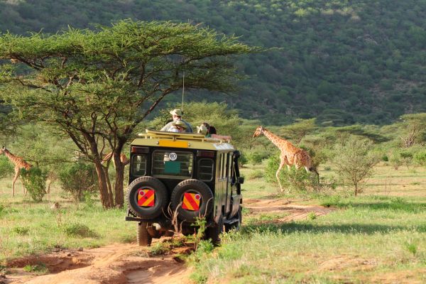 wildlife-friendly travel
