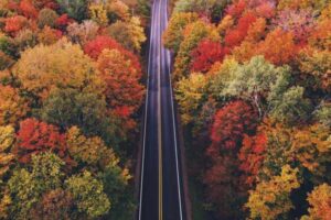 Best Fall Foliage Destinations in the USA and When to See Them