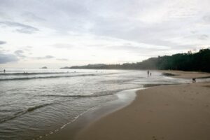 Best Time to Visit Costa Rica: Dry Season, Rain, and Wildlife Tips