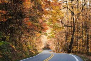 The Best Fall Foliage Road Trips in the USA